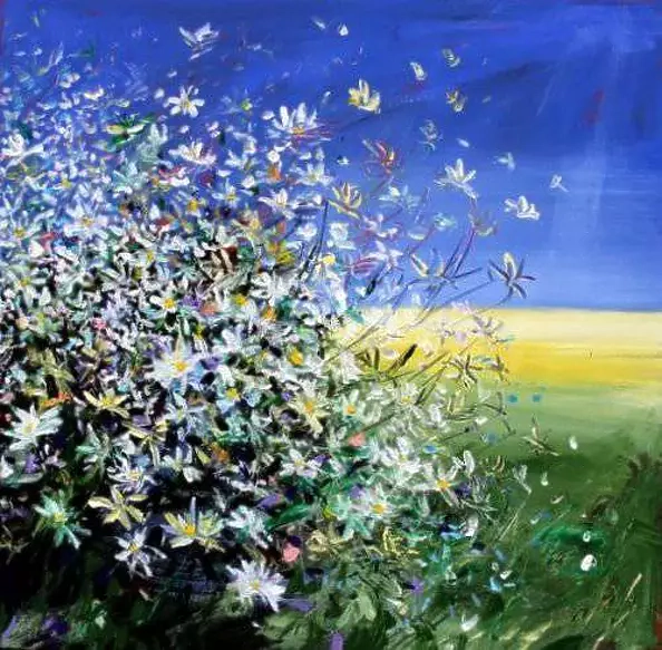 Mario Zampedroni - Wild daisies