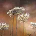 Ewa Gawlik - Polne kwiaty