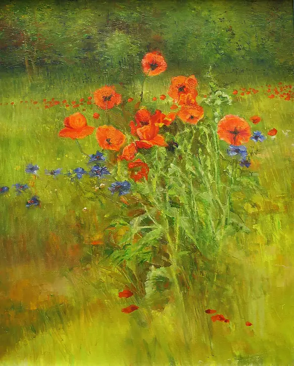 Henryk Radziszewski - Field flowers