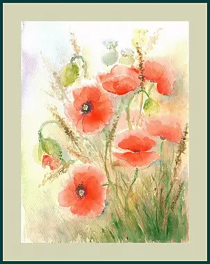   - Wildflowers poppies