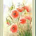Maria Roszkowska - Wildflowers poppies