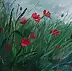 Magdalena Różycka - Poppies field