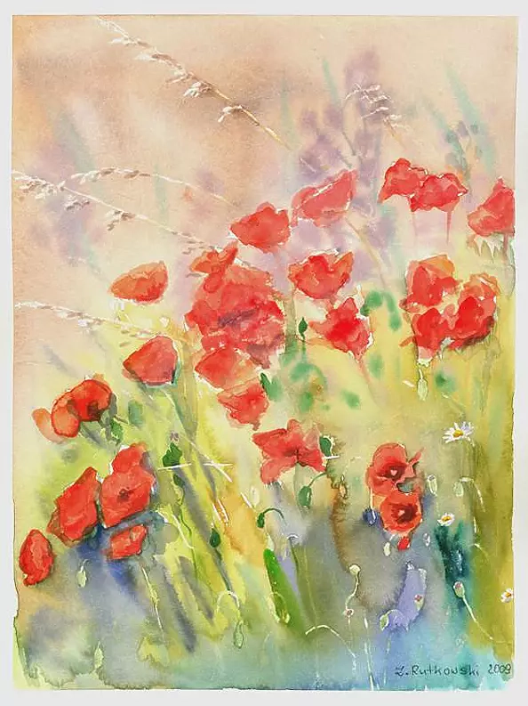 Zdzisław Rutkowski - Wildflowers poppies