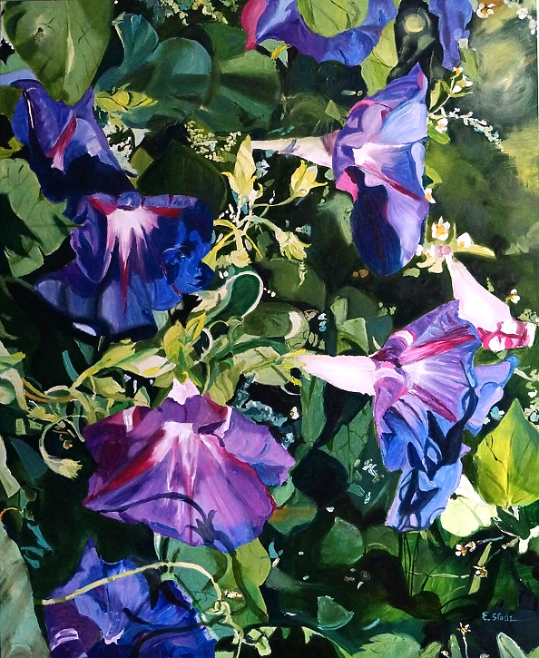 Ewa Słodzińska - Morning glory flower