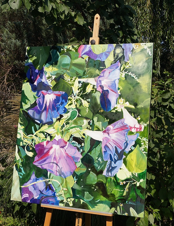 Ewa Słodzińska - Morning glory flower
