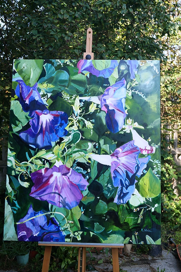 Ewa Słodzińska - Morning glory flower