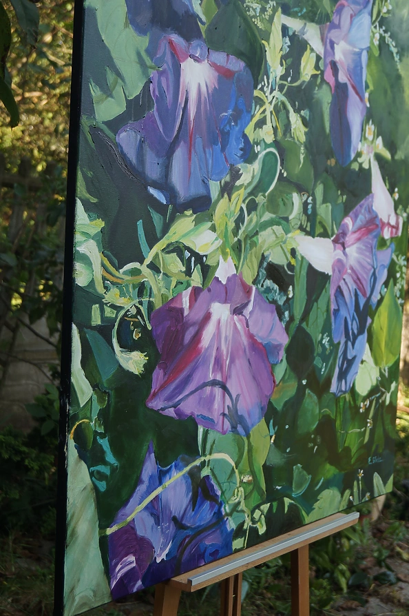 Ewa Słodzińska - Morning glory flower