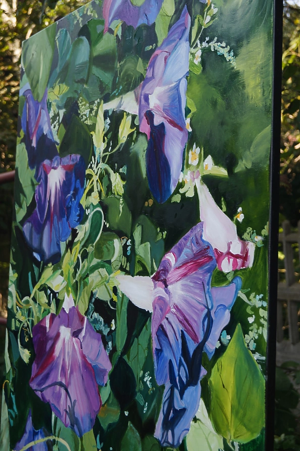 Ewa Słodzińska - Morning glory flower