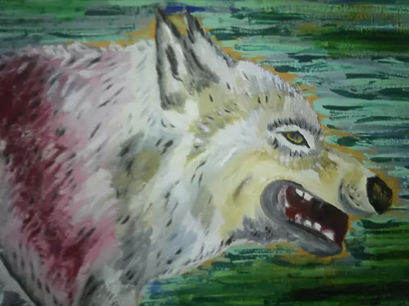 Sylwia Radczuk - Wilk