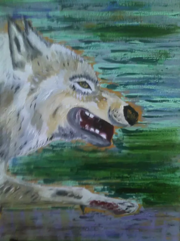 Sylwia Radczuk - Wilk