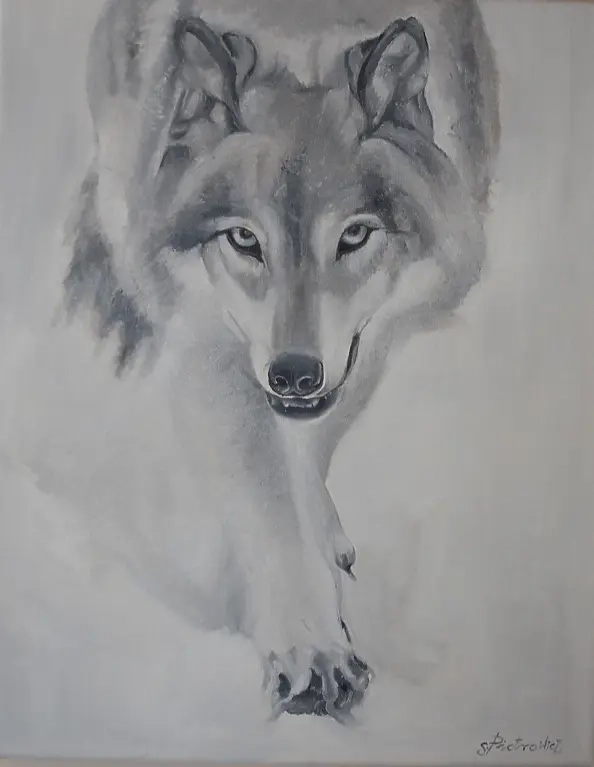 Sylwia Piotrowicz - Grauer Wolf