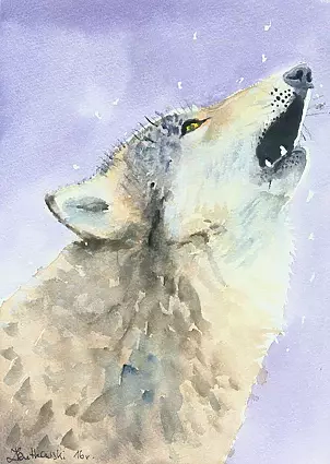 Zdzisław Rutkowski - Wilk