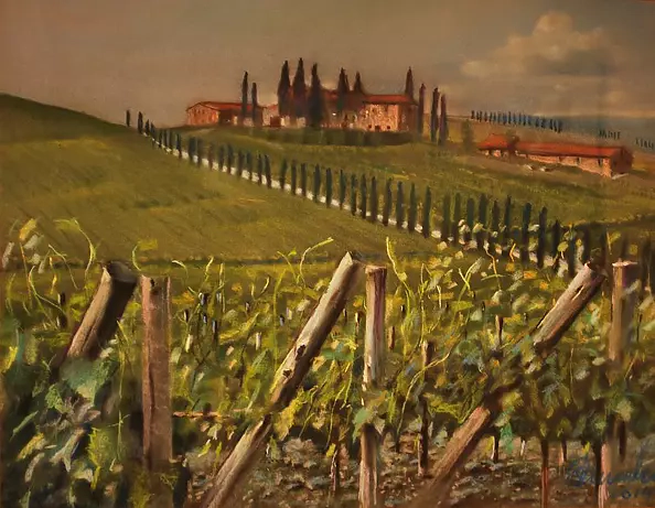 Andrzej Siewierski - Vineyard in Montelcino