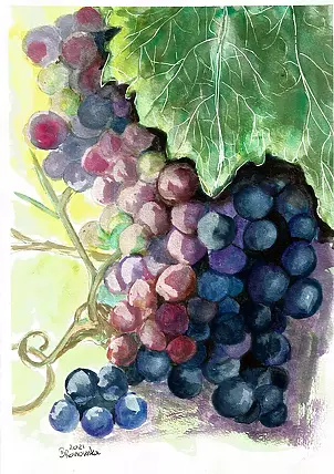 Bożena Ronowska - Темный виноград
