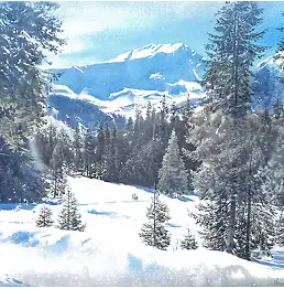 Michał Suffczyński, Winter Highland Woods, Akwarele - papier, 59 x 44