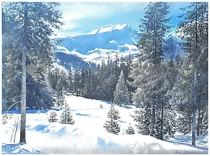 Michał Suffczyński - Winter Highland Woods