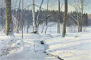 Wojciech Górecki - winter forest