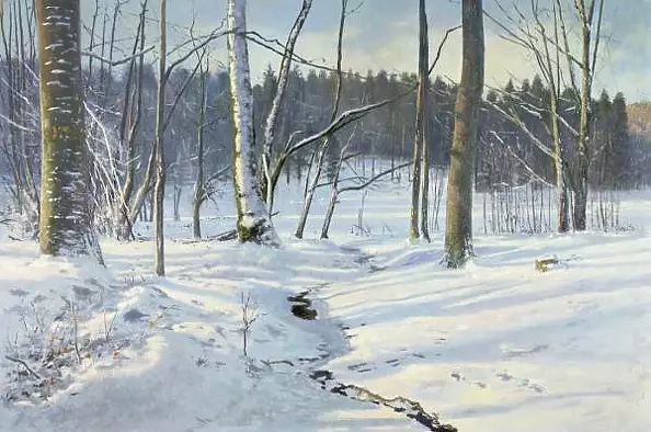 Wojciech Górecki - winter forest