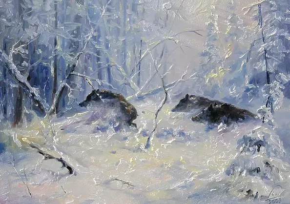 Mariusz Lewandowski - Winter in the wilderness