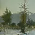 Mieczyslaw Wieczorek - Winter