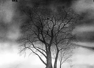 Surajit Chatterjee - Winter