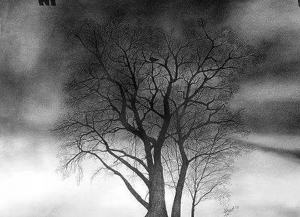 Surajit Chatterjee - Winter