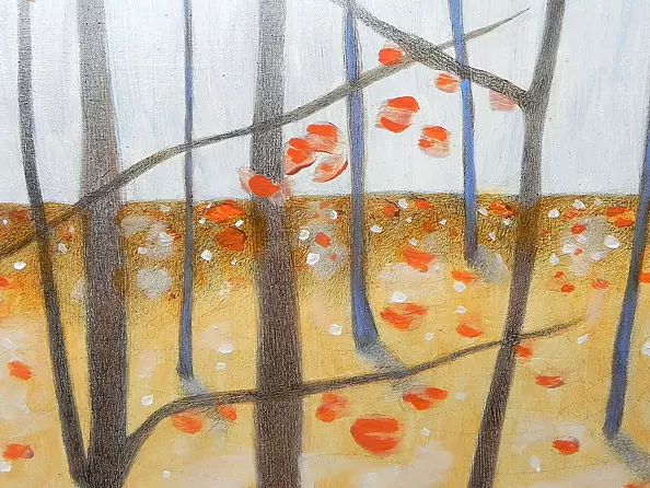 federico cortese - Winter woods