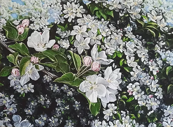 Aleksandra Kurzyńska - Spring enchantment