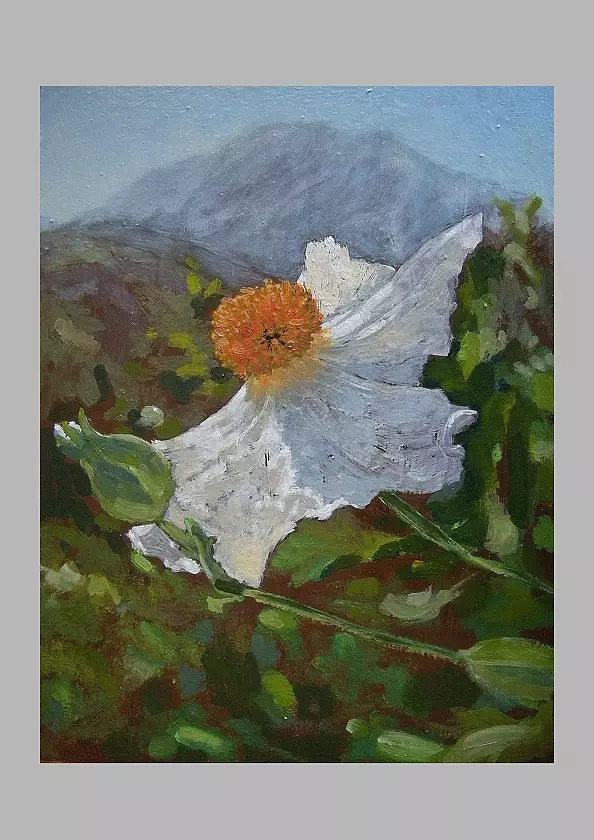 Jaroslaw Mueller-Szarabajko - Wiosna