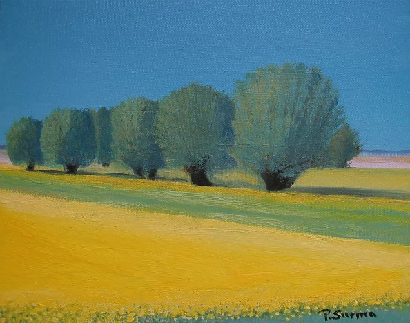 Piotr Surma - Spring in Żuławy