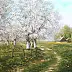 Marek Szczepaniak - Spring in a cherry orchard