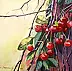 Magdalena Bronakowska - Cherries