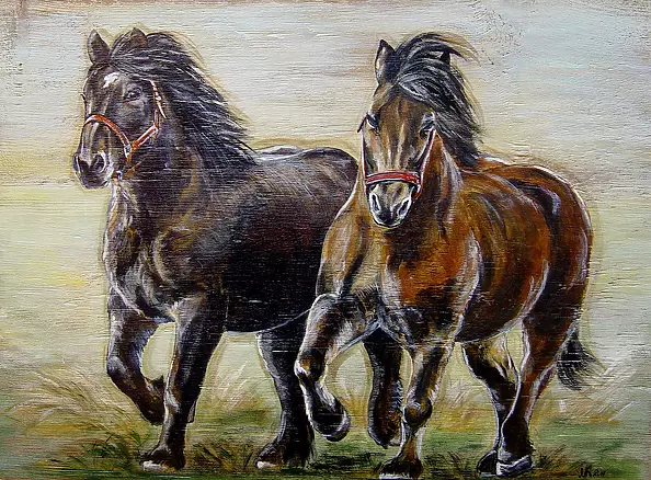 Katarzyna Niemczak - With the wind