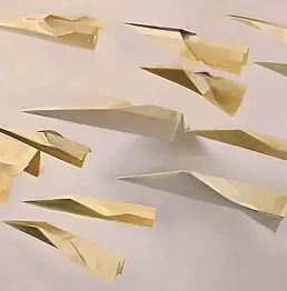 Agnieszka Stańczyk - Without title IX