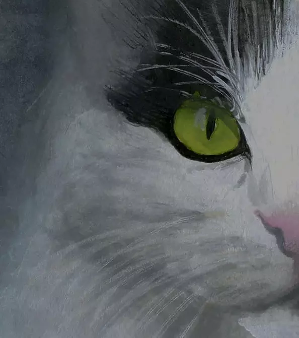 Witold Kubicha - The ruler of the district