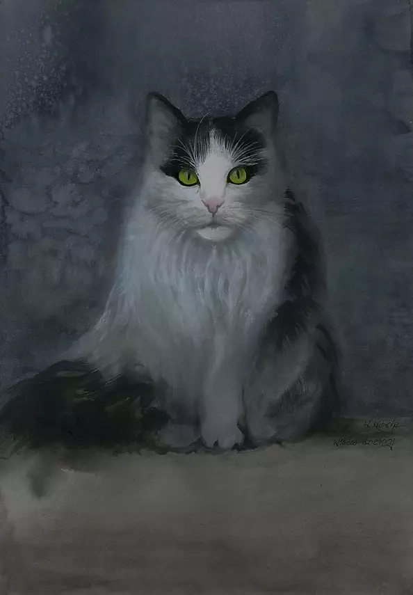 Witold Kubicha - The ruler of the district