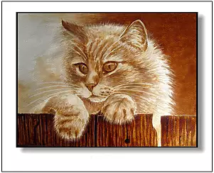 Jolanta Dusza - Kitten climbed on the fence...