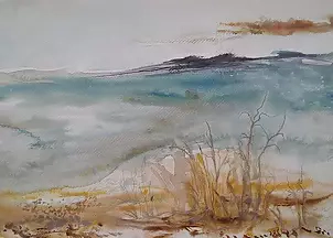 Magdalena Waszkiewicz - Wodorosty