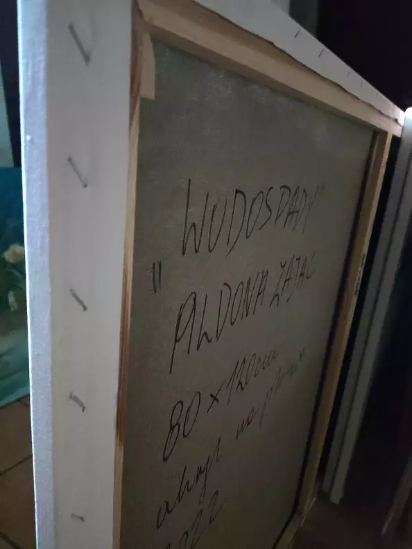 Aldona Zając - Waterfalls