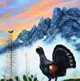 Tiziana Colleoni - capercaillie