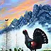 Tiziana Colleoni - capercaillie