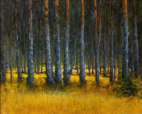 Tadeusz Gazda - Forest Nakielnicy