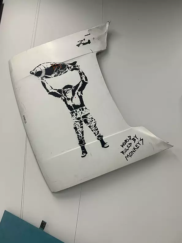 Mark Gray - World Ruled by Monkeys