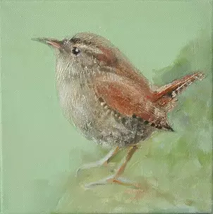   - Wren