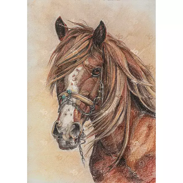 Jowita Szmigiero - wrenger