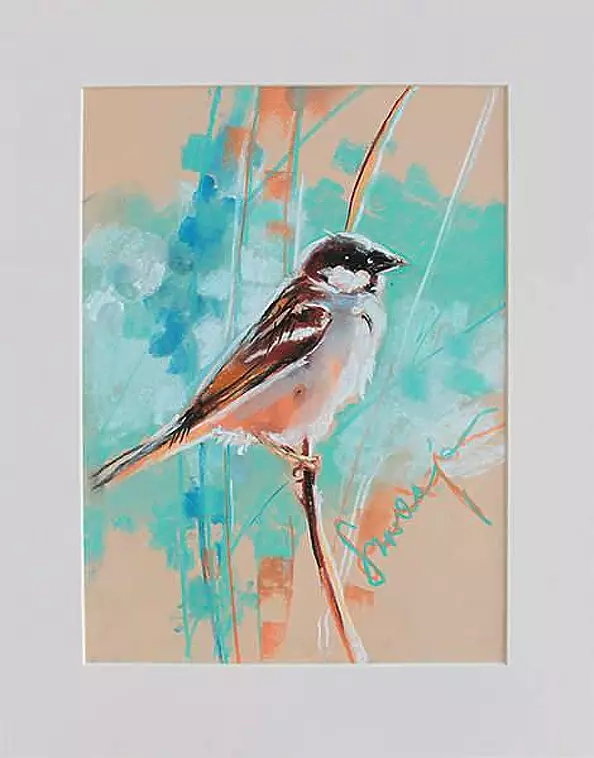 Magdalena Chudalewska Szwaja - Sparrow