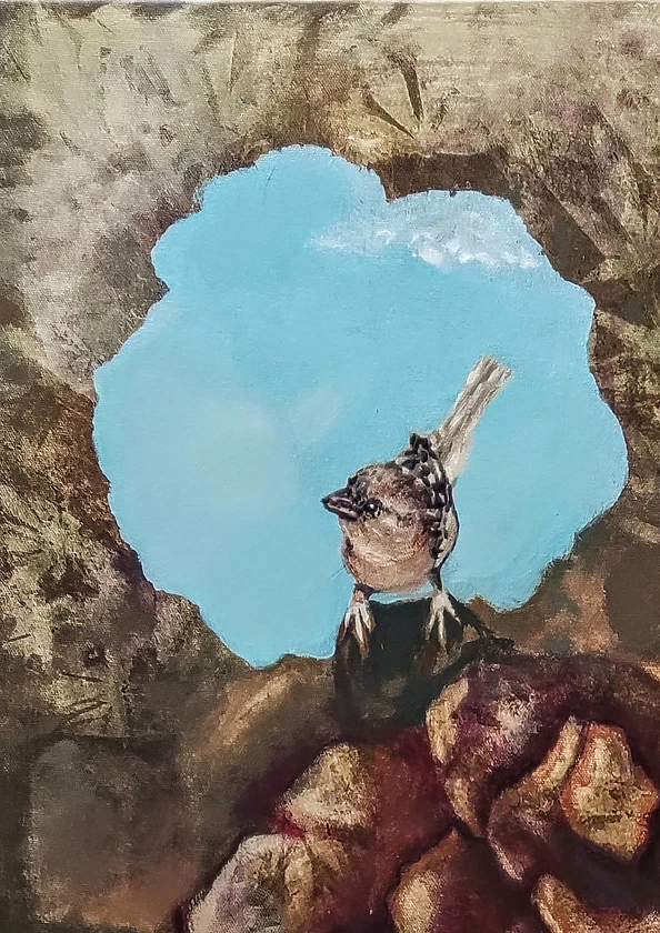 Aldona Zając - The sparrow sees more