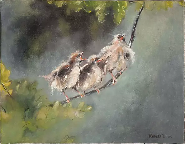 Ilona Kowalik - Wroble na kanapie