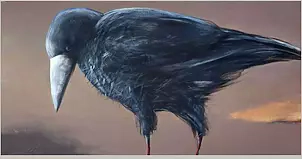 Krzysztof Kiwerski - crows VII