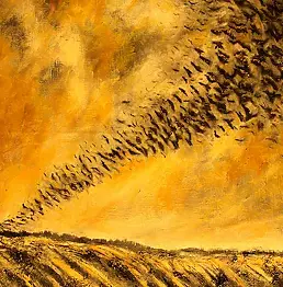 Robert Bareja - crows